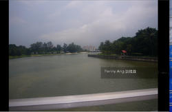 The Riverine By The Park (D12), Apartment #142712762